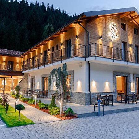 Hotel Ina Borşa 外观 照片