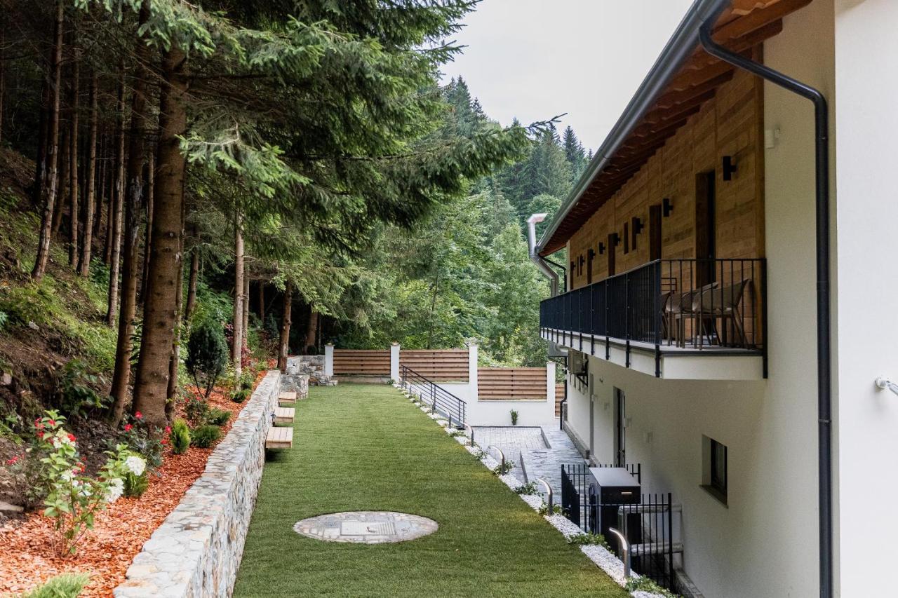 Hotel Ina Borşa 外观 照片